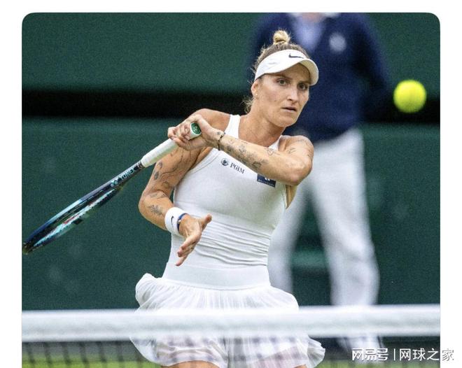 已经为其在 已经为其在