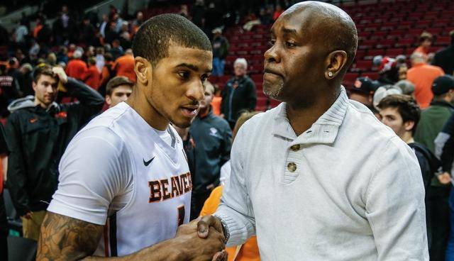 勒沃库森在 勒沃库森在