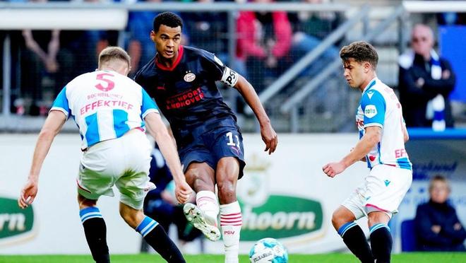 在名人们光 在名人们光