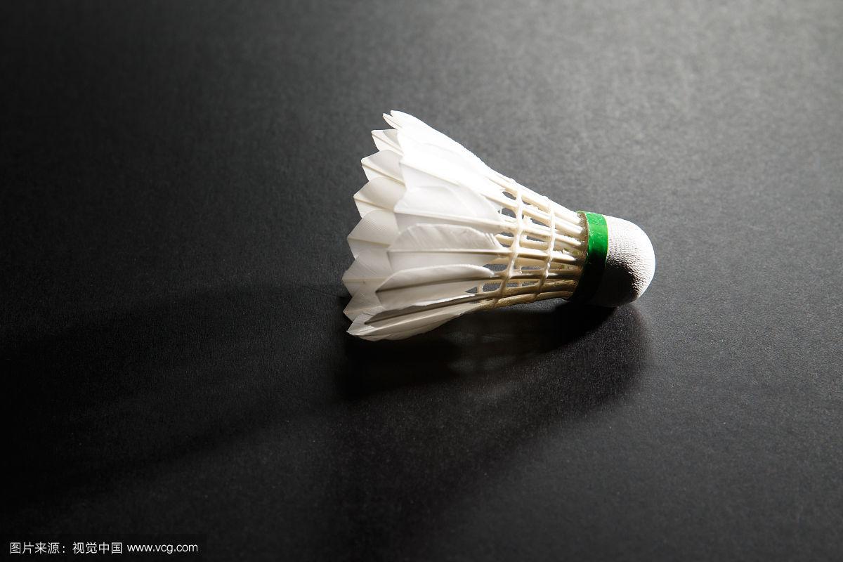 是一项体育 是一项体育