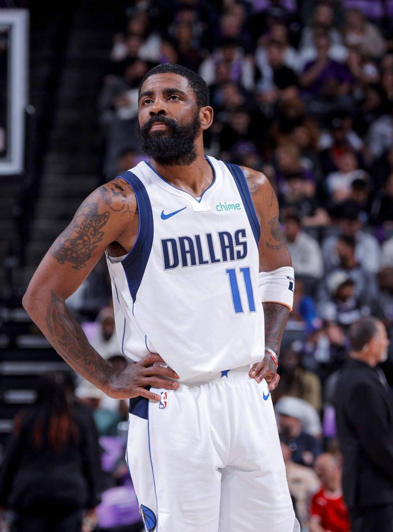 某些功能型 某些功能型